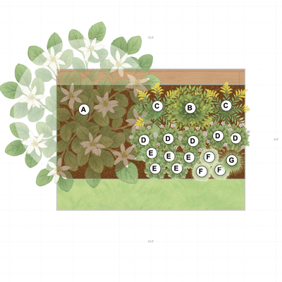 Toronto Part-Shade Backyard Garden